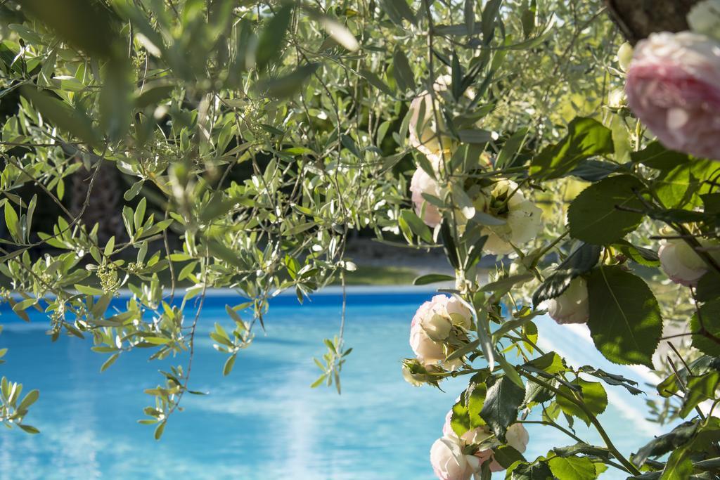 Libbiano Tenuta Croce Di Bibbiano מראה חיצוני תמונה
